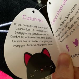 catarina the cat squishmallow